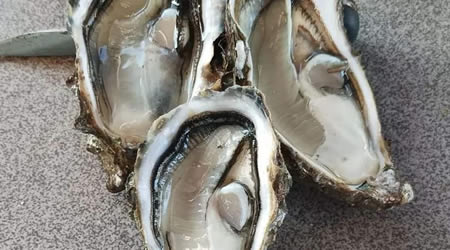 the village of l'Herbe is worth a visit and a tasting stop local oysters