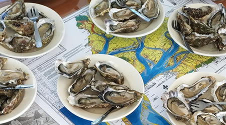 oyster-farming port to have lunch