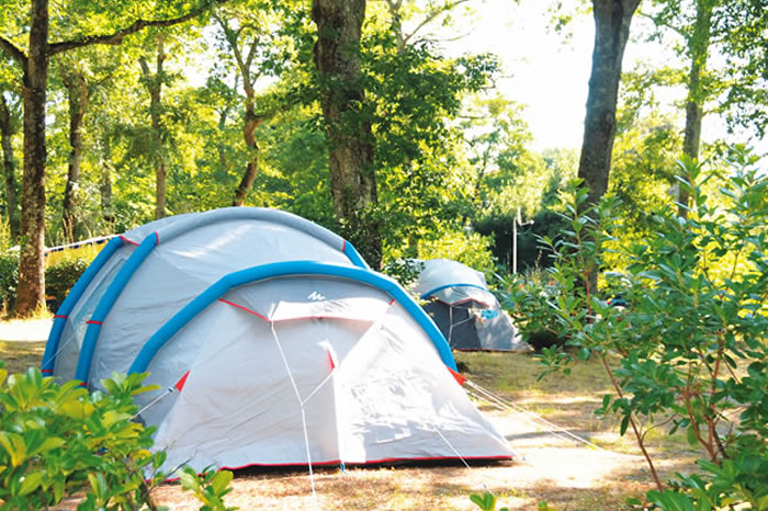 Camping Pitch Forest Zone