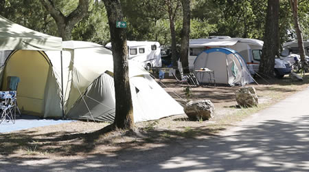 Camping Forest Zone